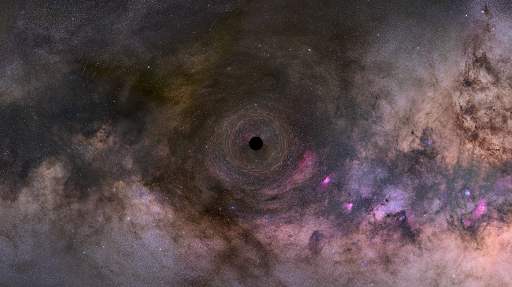 Black Hole Composition