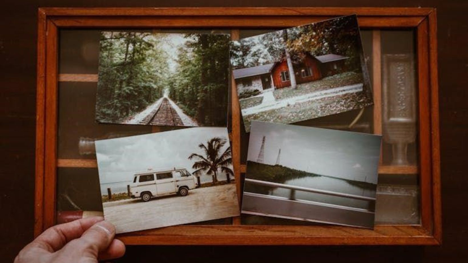 Person looking at old photos.