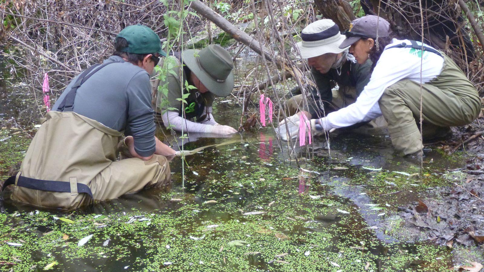 field scientists water testing, titrator water analysis, remote wetlands water testing, portable water testing devices, water quality testing wetlands, field testing water instruments, environmental water analysis tools, wetland water testing equipment, on-site water titration methods, accurate water testing in remote areas